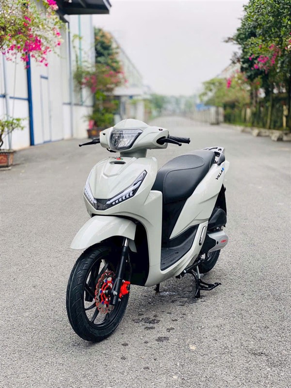 Xe 50cc có cần bằng lái không? [Giải đáp chi tiết]