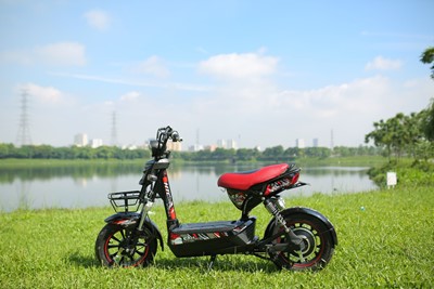 133S Sport