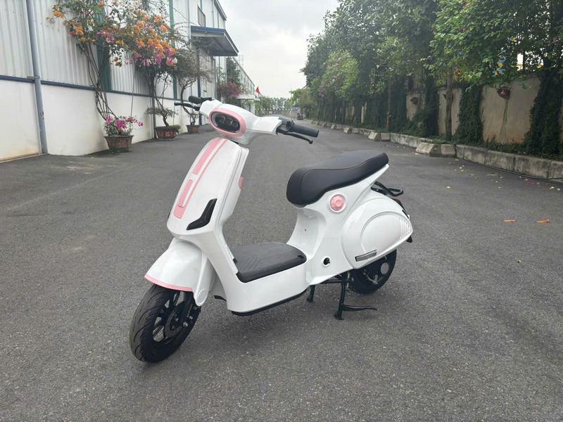 huong-dan-su-dung-xe-dien-1